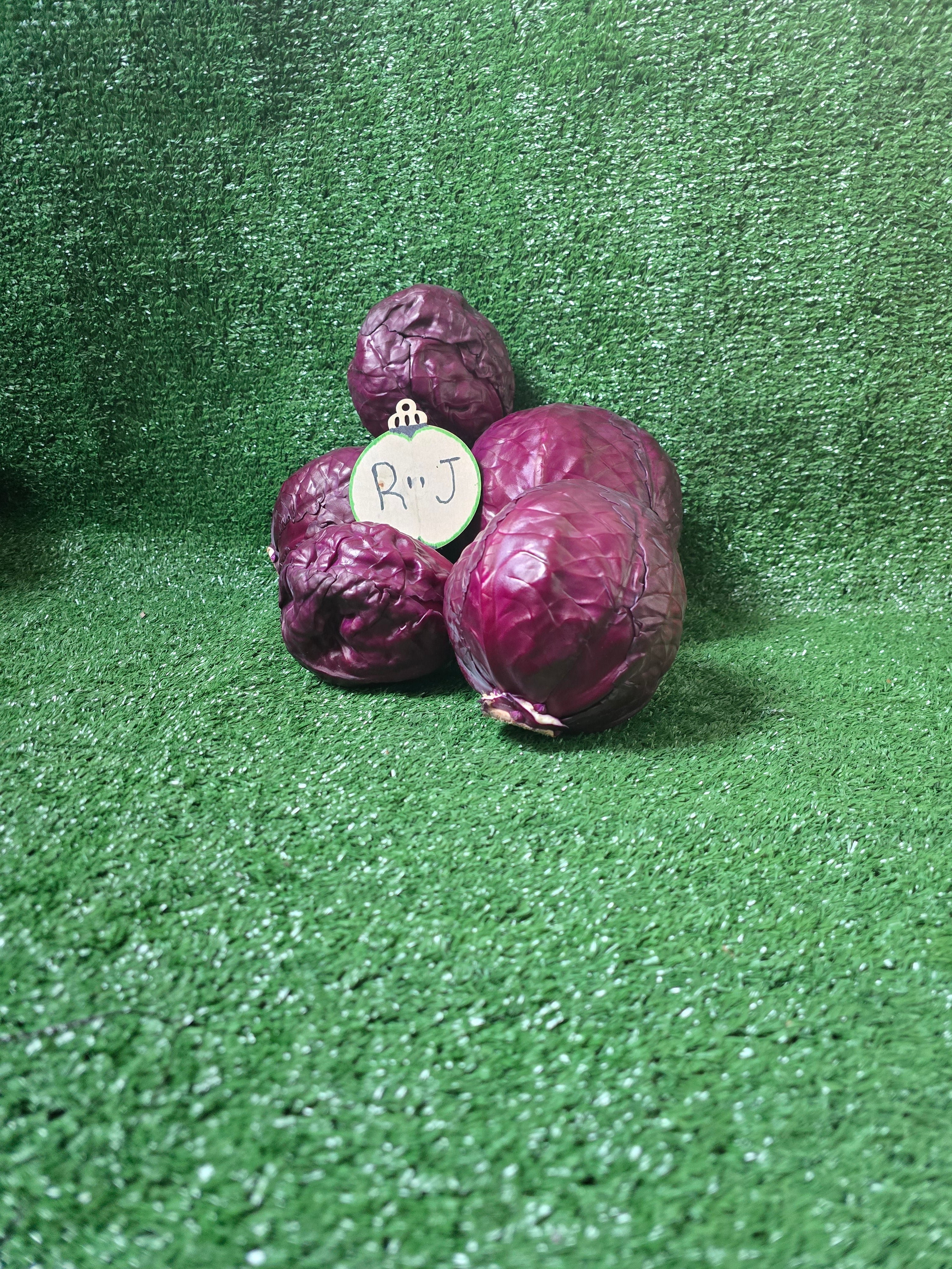 Red Cabbage